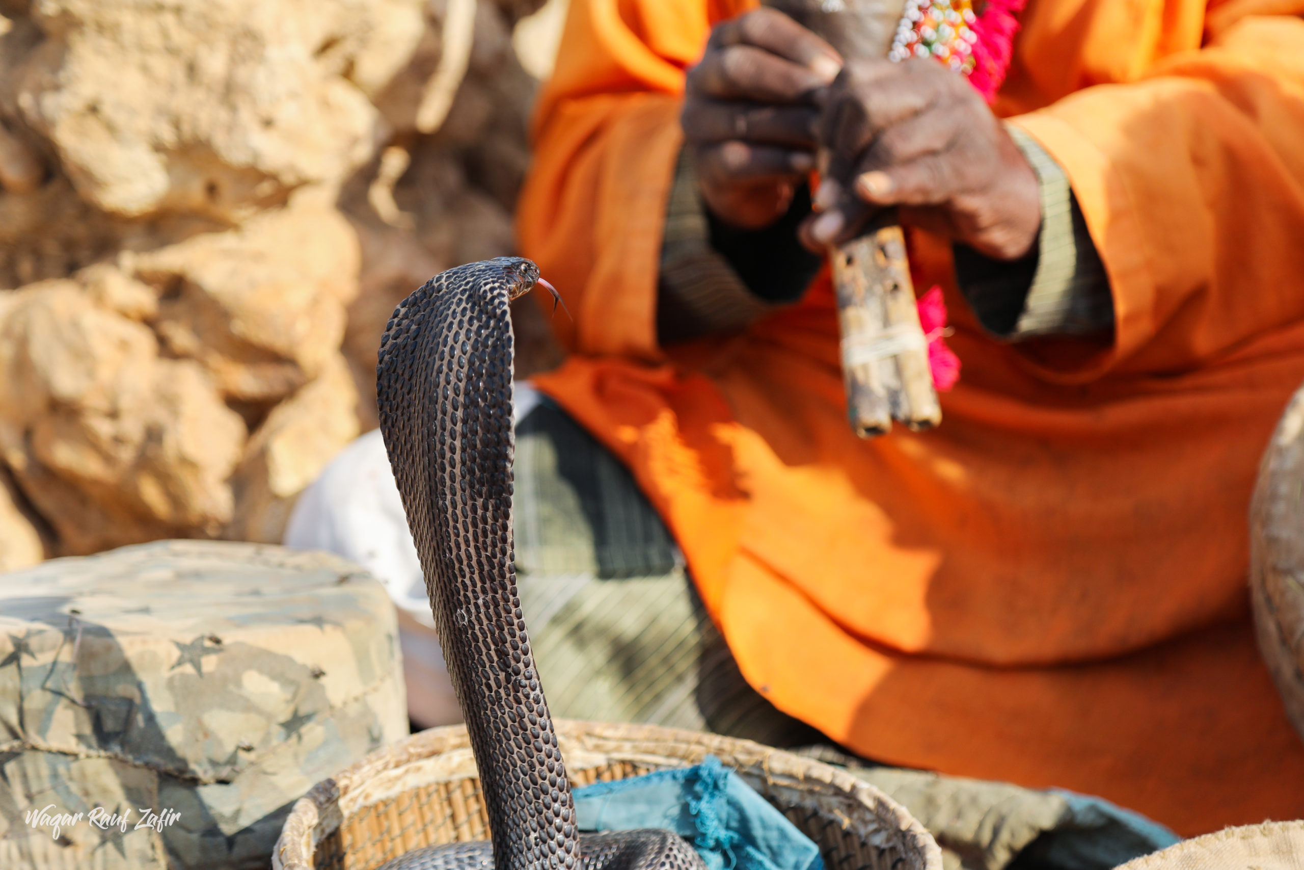 the snake charmer is trying to charm his snake at mail,thatta